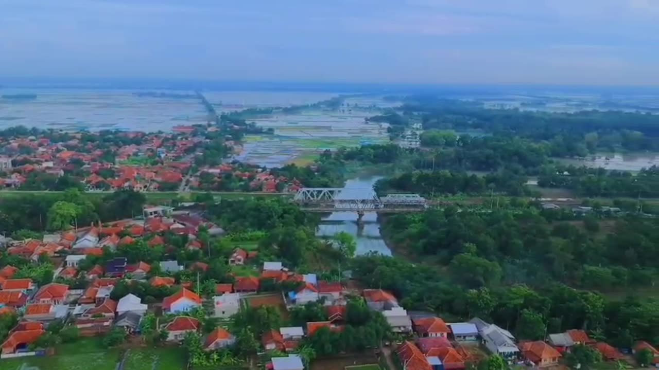 Drone View Hamparan Sawah Lega | on DJI Phantom 4