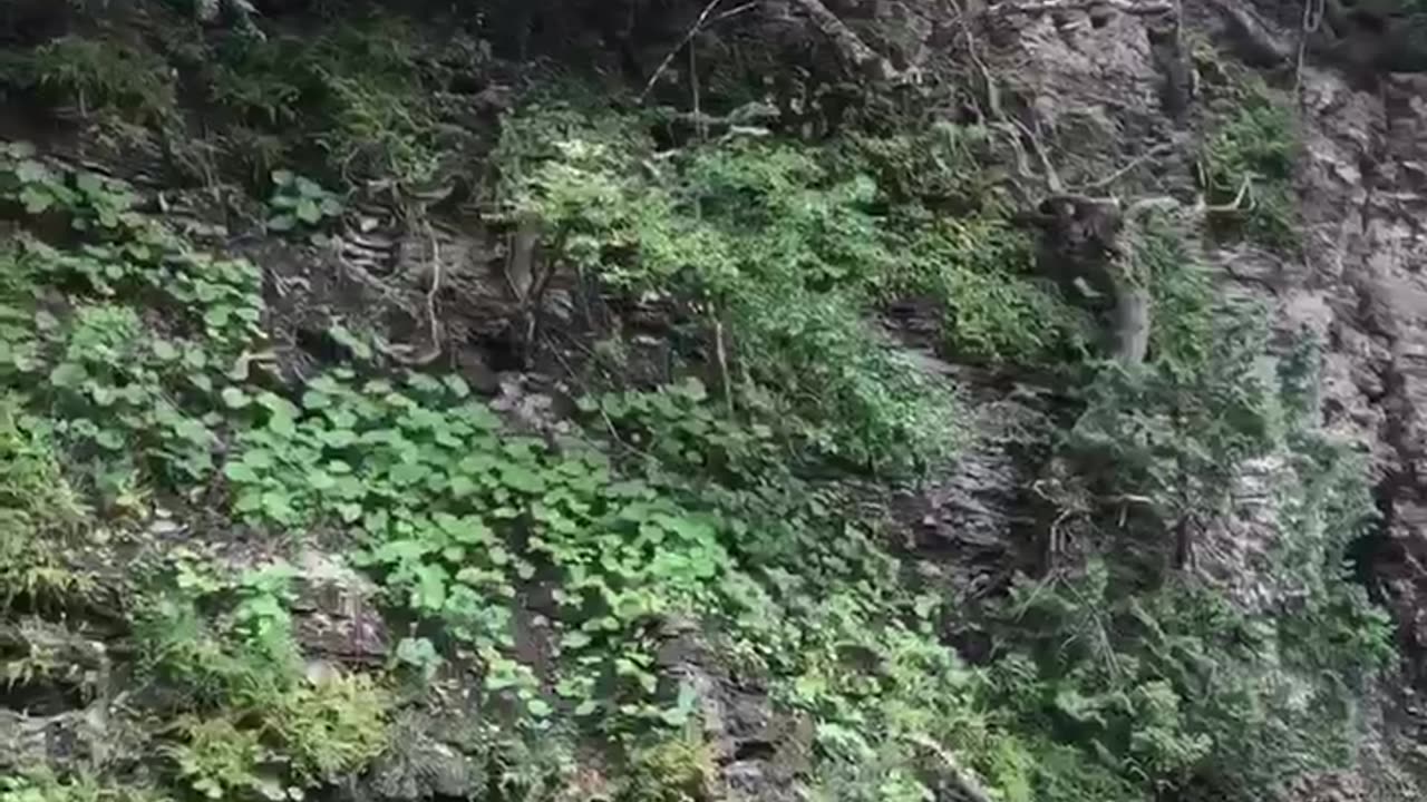Nature