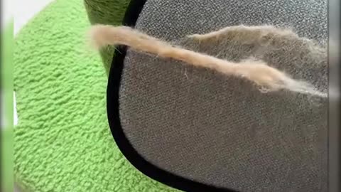 For pets