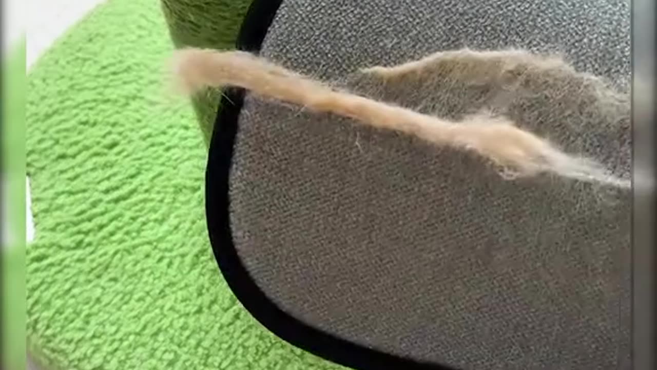 For pets