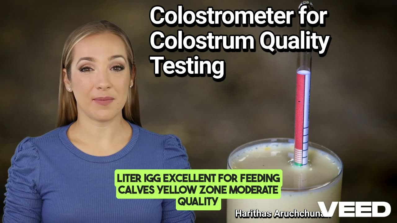 Give Your Calves the Best Start in Life:Colostrometer for Colostrum Quality Testing