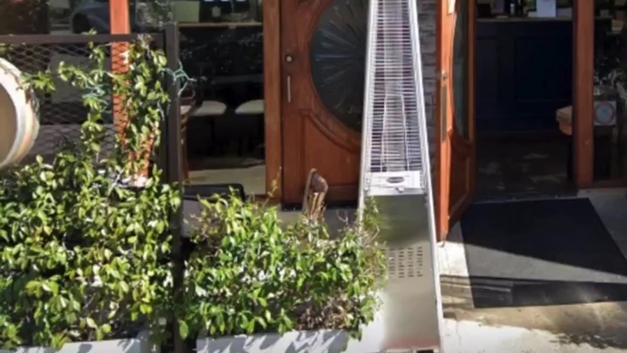 Taste The Best Smooth Tequila – Organic And High Quality By AgaveLuz