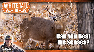 How to Outsmart Whitetail Deer
