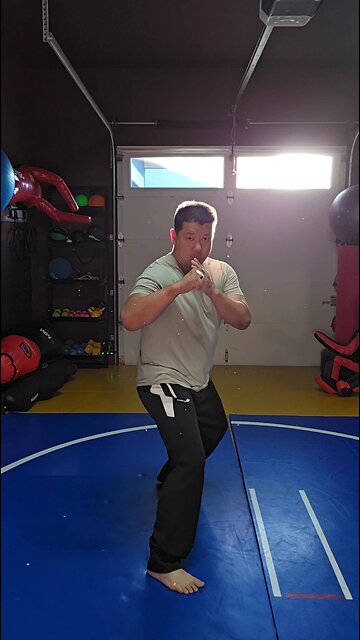 WTD Kickstance Combination 11, Kick Set (Rank 2)