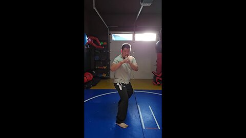 WTD Kickstance Combination 11, Kick Set (Rank 2)
