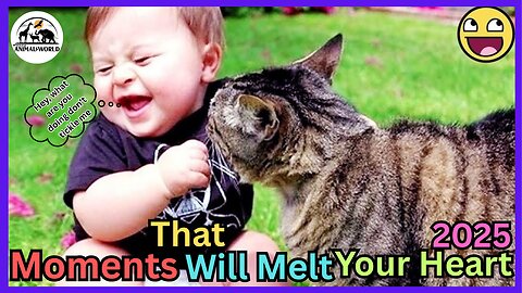 Cutest Cats & Babies Moments That Will Melt Your Heart ! 🐱👶❤️