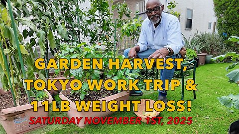 Garden Harvest, Tokyo Work Trip & 11lb Weight Loss!