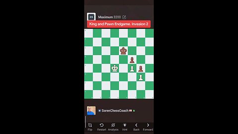 King and Pawn Endgame. Invasion 2