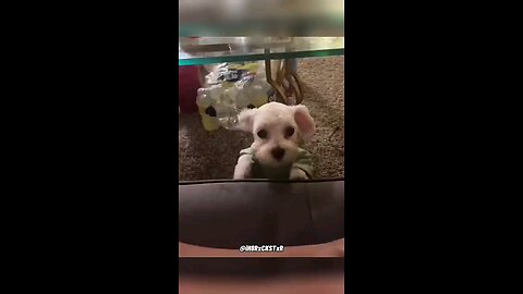 funny voice over 🤣