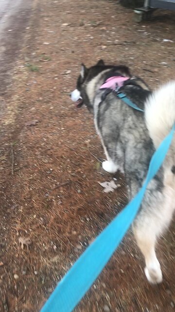 Thursday April 3, Then we will no longer be like children.