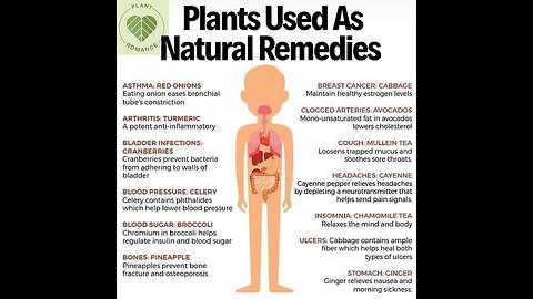 Alkaline water is a life saver & it’s easy to make! 🥒🍋💧