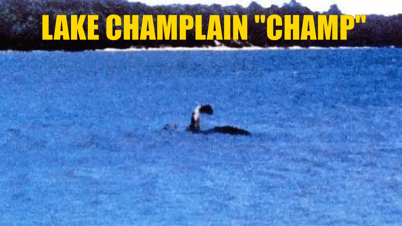 WONDERCAST EP.64- LAKE CHAMPLAIN "CHAMP" (HISTORY, STORIES & EVIDENCE) PART 1: LAW OF ONE BOOK 1 PAGES 116-128 SESSIONS 11 & 12 (MALDEK, PLANET X, HITLER, DARK ASCENSION, ORIONS, ELITE, CRAFT, ROBOTS/THOUGHT FORMS, MIB & WANDERERS)