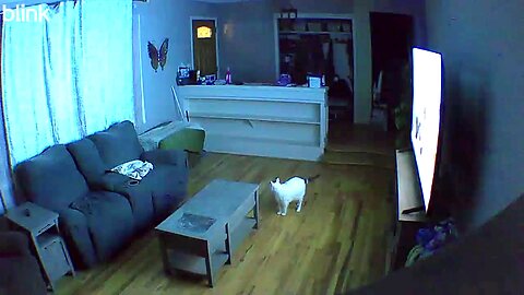 camera in house