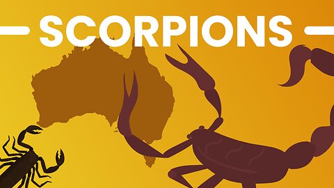 SCORPIONS ! Is Australia Really That Dangerous?