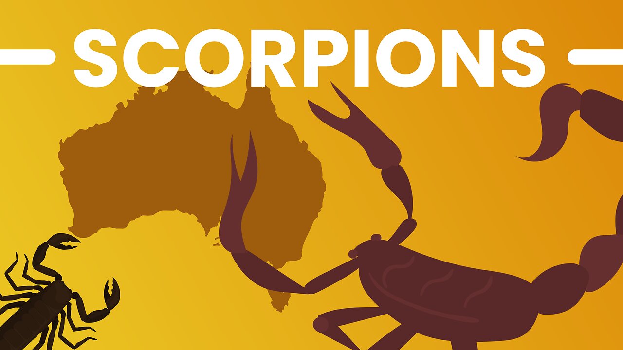 SCORPIONS ! Is Australia Really That Dangerous?