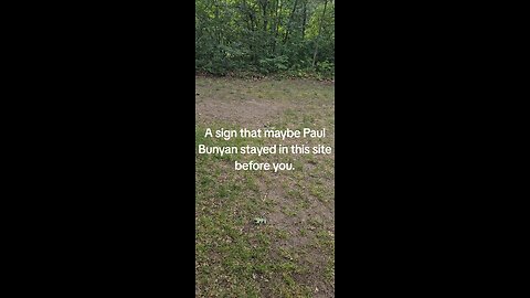 proof Paul Bunyan is real?