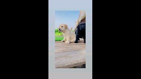 जब तुम्हे पता है