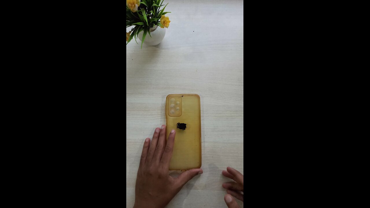 Diy phone cover