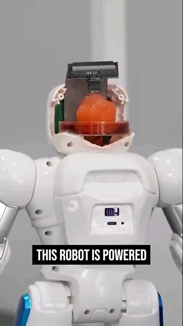 Chinese Merge Mini Brain Made With Stem Cells -With A Robot