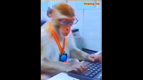 Simplang Trip 134: It doesn't matter if it's monkey business as long as it's still business.