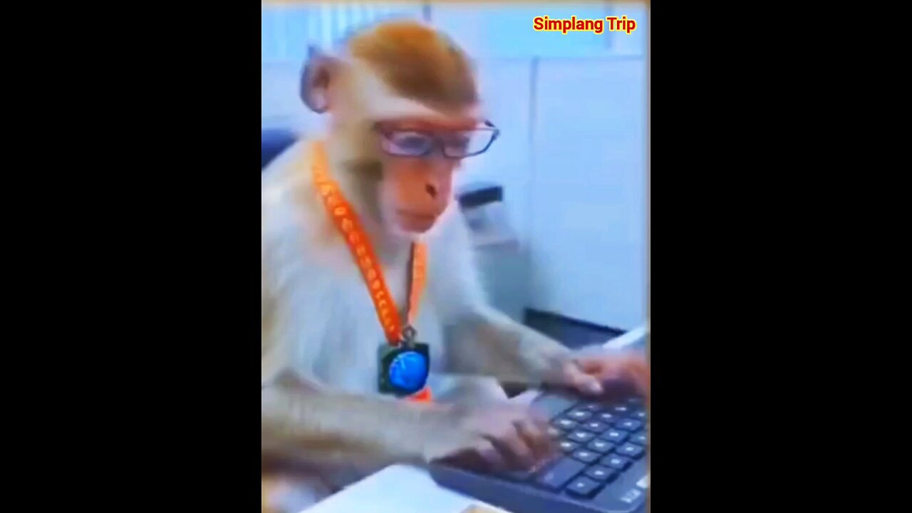 Simplang Trip 134: It doesn't matter if it's monkey business as long as it's still business.