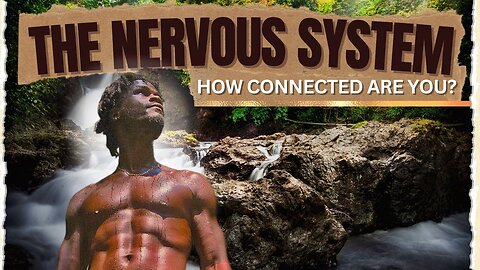 The Nervous System | How Connected Are You?