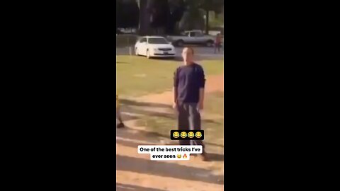 funny 😆🤣 videos