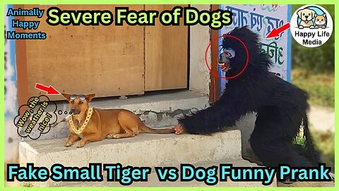 Fake Small Tiger vs Dog Prank - Dog Scaring