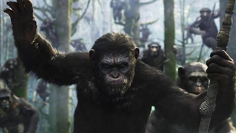 This Scene Gave Goosebumps! 🦍