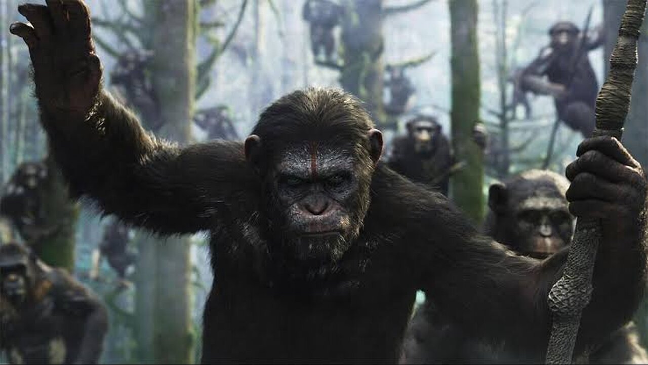 This Scene Gave Goosebumps! 🦍