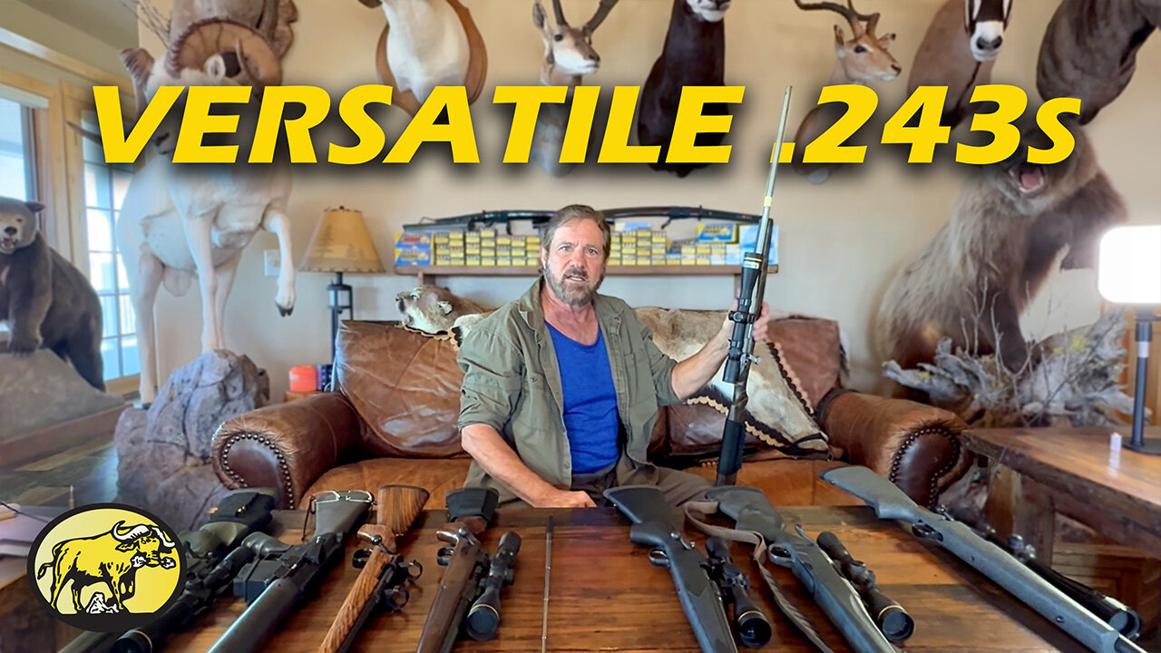 Why the .243 is among the best centerfire rifles