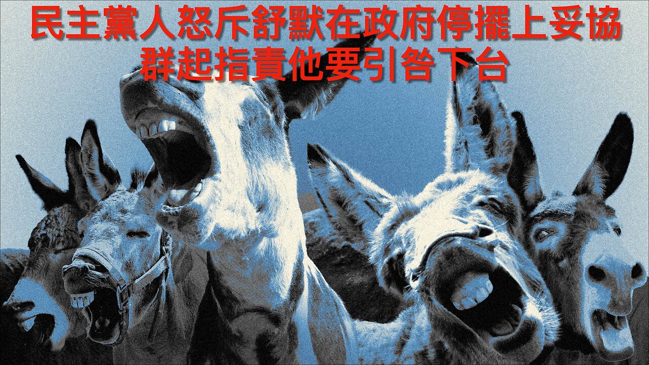 眾民主黨人斥舒默須為中止停擺下台/極左主持跪地錫Jasmine Crocket鞋/傳英國暫停與美國共享情報/社運法官判賠過億予偷渡者/過千偷渡者將轉在家囚禁?｜每日美國時評 2025年11月12日