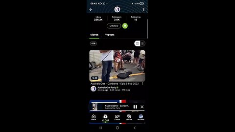 Ricardo Bosi Australia One Party