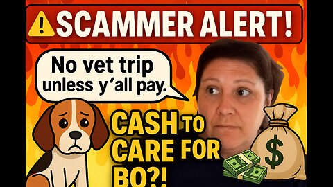 Bummy’s Eviction!!
