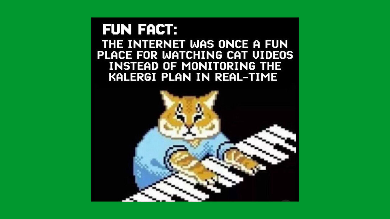 Racist Cat Memes 2025 #memes