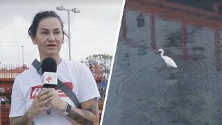 Welcome to Fart Park: Belem’s Sewage-Covered Mirage for the UN Climate Conference