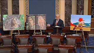 Sen John Kennedy exposes US Dept of Interior under Biden made DEI program for OWLS