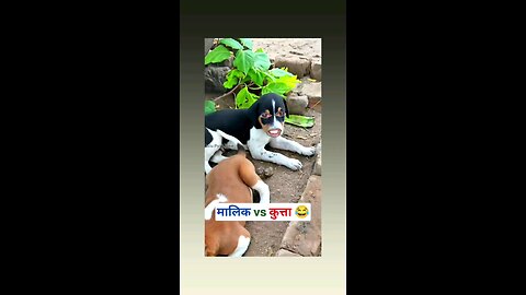 कोई काम कयु नही करता है