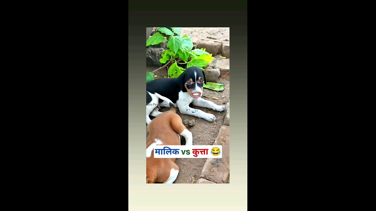 कोई काम कयु नही करता है