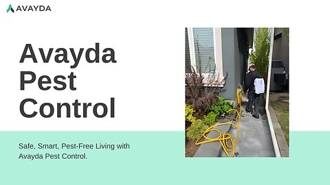 Avayda Pest Control Keeps Homes Pest Free