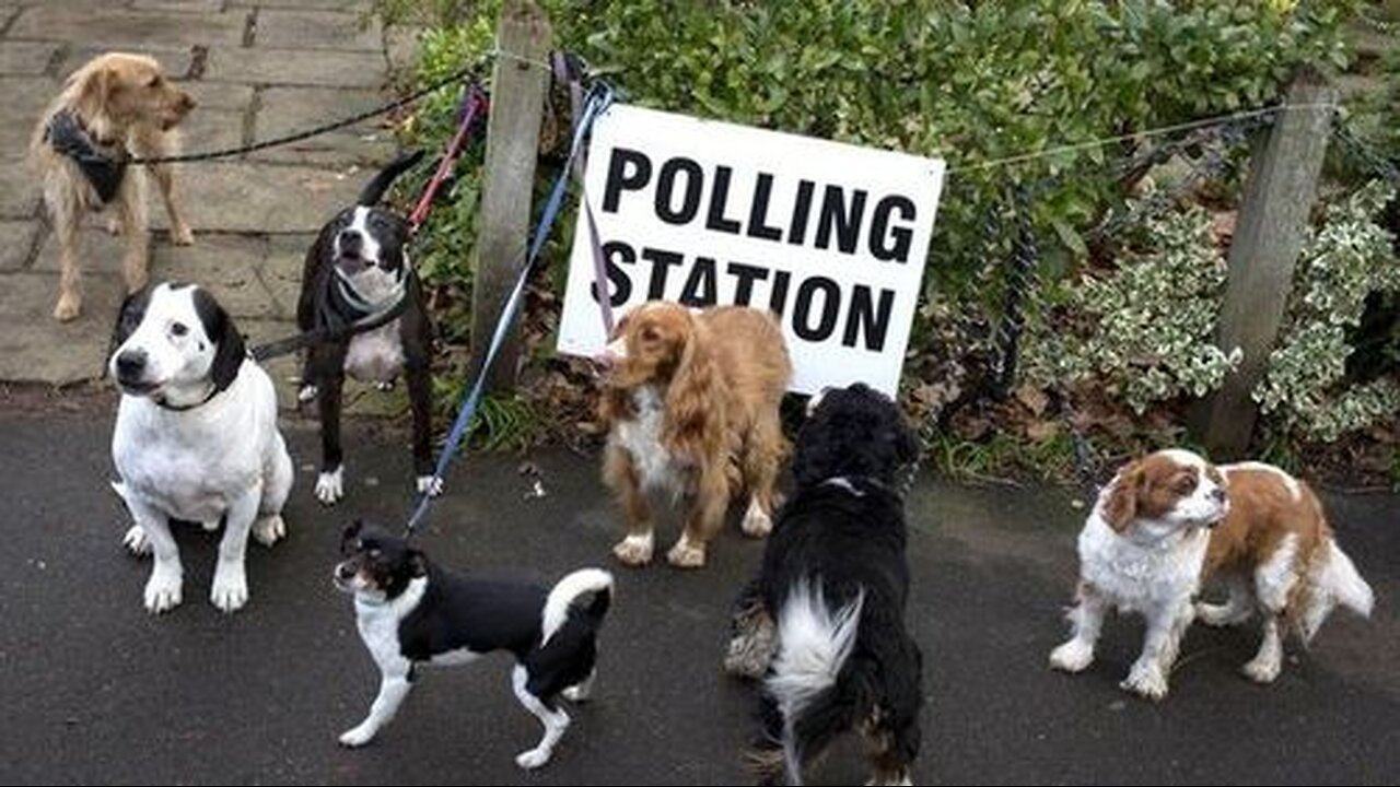 WHY VOTING IS A COMPLETE WASTE OF TIME AND IGNORANT AS FUCK