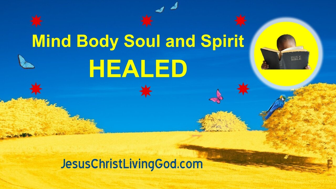 Mind Body Soul and Spirit HEALED
