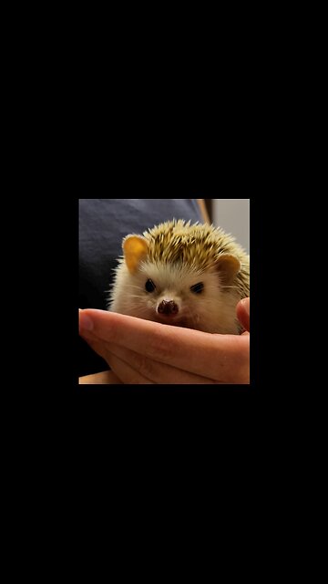 Impatiently waiting for wormies