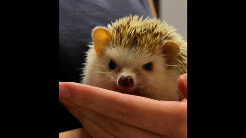 Impatiently waiting for wormies