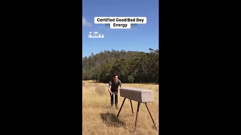 If animals do parkour😂😂