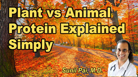 Plant vs Animal Protein: Understanding the Key Differences for Better Health