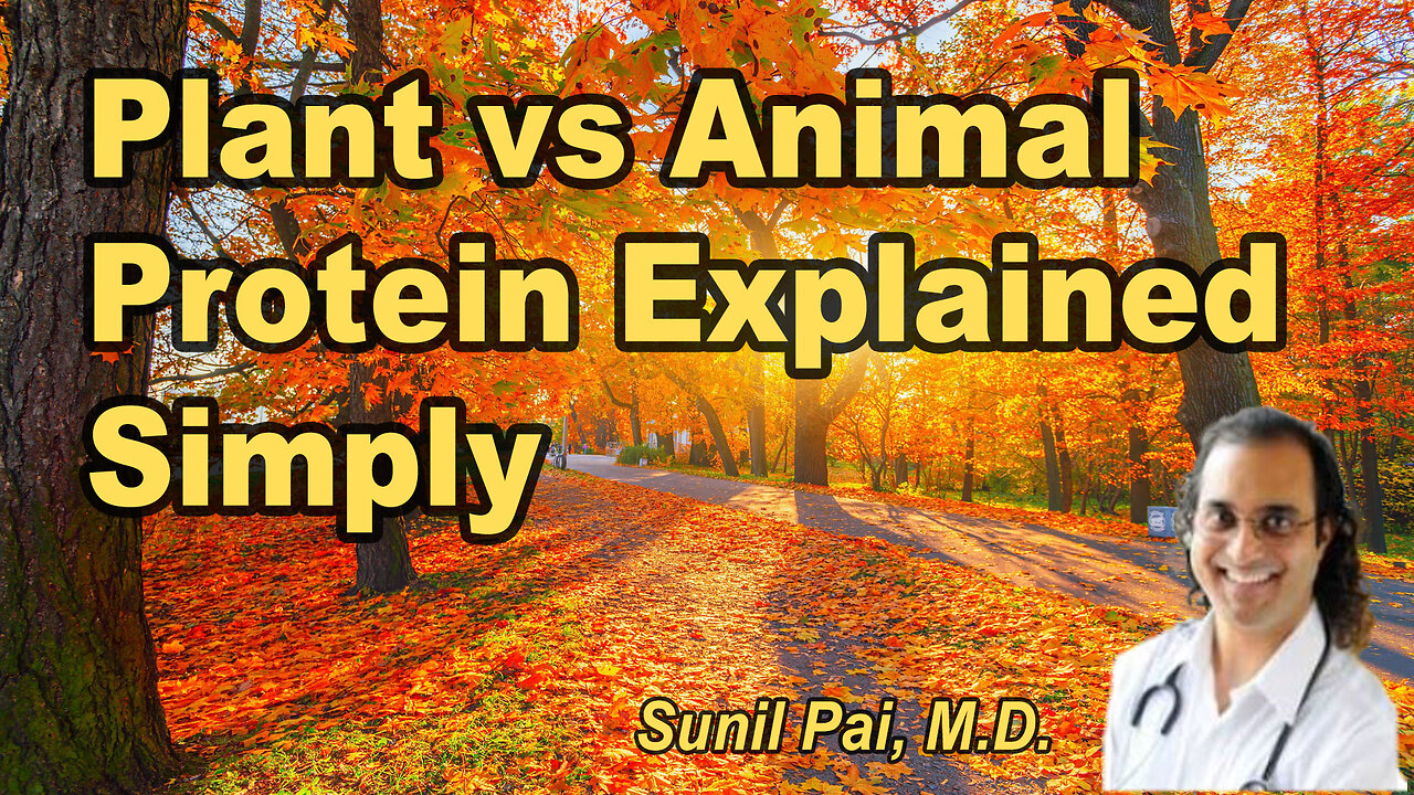 Plant vs Animal Protein: Understanding the Key Differences for Better Health