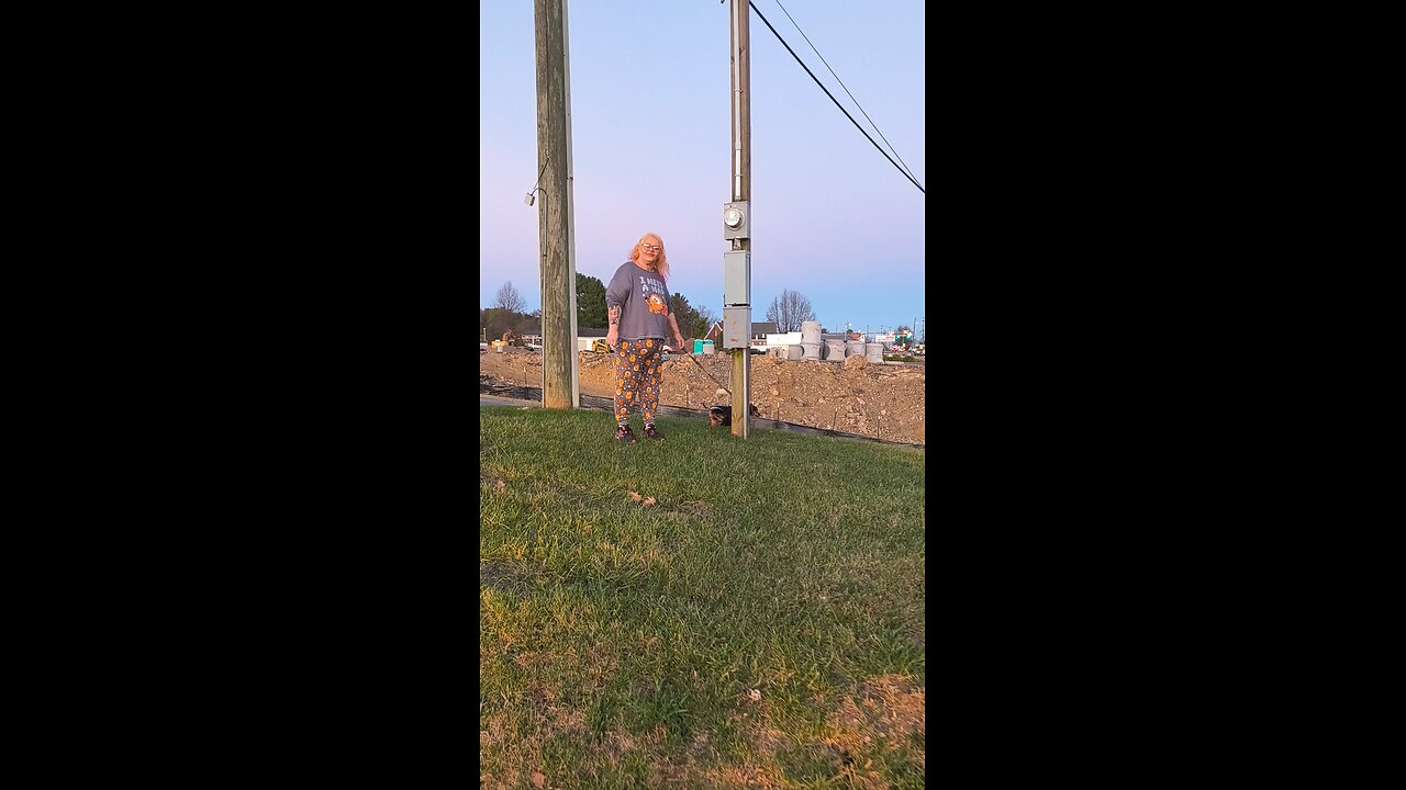 animals are a big responsibility