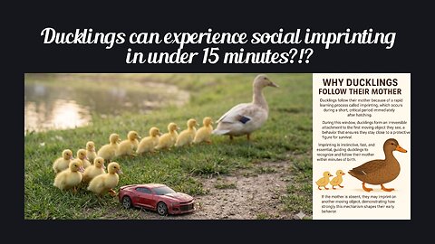 Fun Fact for Dec 26th 2025