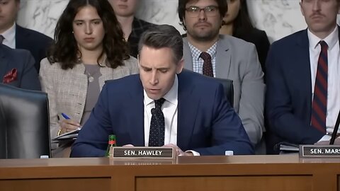 Hawley Calls Out Boeing CEO For Prioritizing Profit Over People: 'You're The Problem'